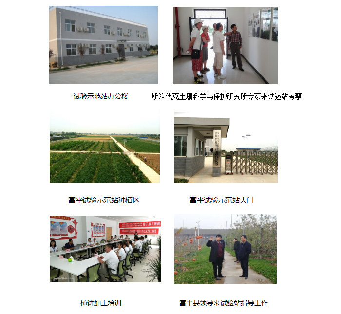 2b1bede6742e4db78a5eacbdbde0e98d.png 111.png