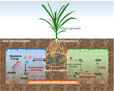 e8a31354553043cc9385e590d05d6af7.png image.png